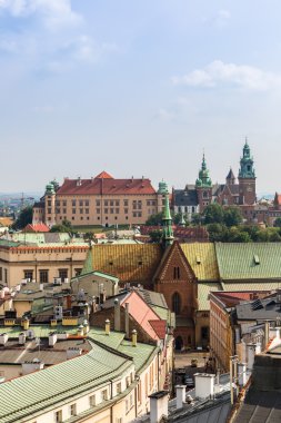 Krakow 'daki Wawel Katedrali