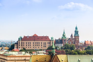 Krakow 'daki Wawel Katedrali