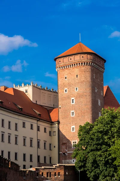 Wawel Cathedral in Krakow — Stock Photo, Image