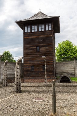 Auschwitz Toplama Kampı