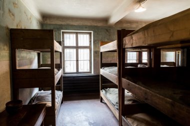 Auschwitz toplama kampı.