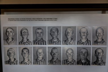 Auschwitz toplama kampı.