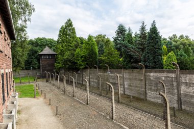 Auschwitz Toplama Kampı