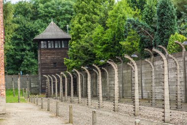 Auschwitz Toplama Kampı
