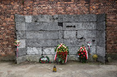 Auschwitz Toplama Kampı