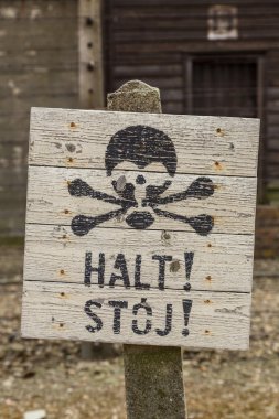 Auschwitz Toplama Kampı