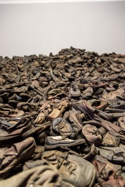 Auschwitz'de kurbanlarının çizmeler