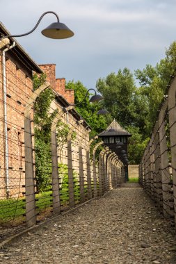 Auschwitz Toplama Kampı