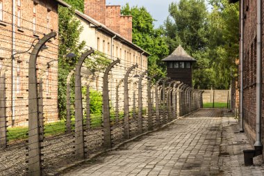 Auschwitz Toplama Kampı