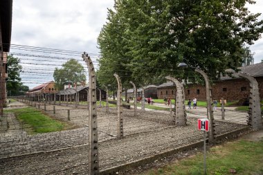 Auschwitz Toplama Kampı