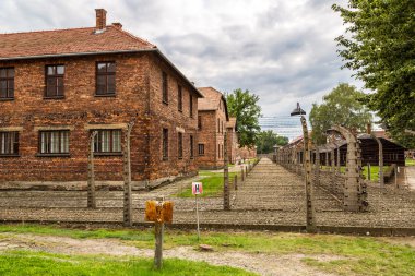 Auschwitz Toplama Kampı