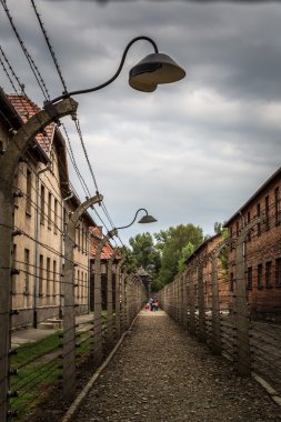 Auschwitz Toplama Kampı