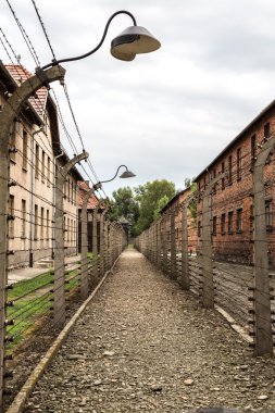 Auschwitz Toplama Kampı