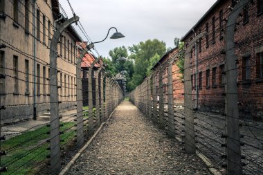 Concentration camp Auschwitz clipart