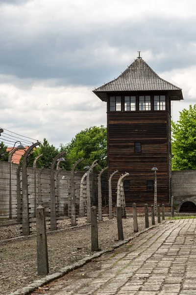 Auschwitz Toplama Kampı