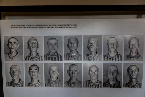 Auschwitz toplama kampı. — Stok fotoğraf