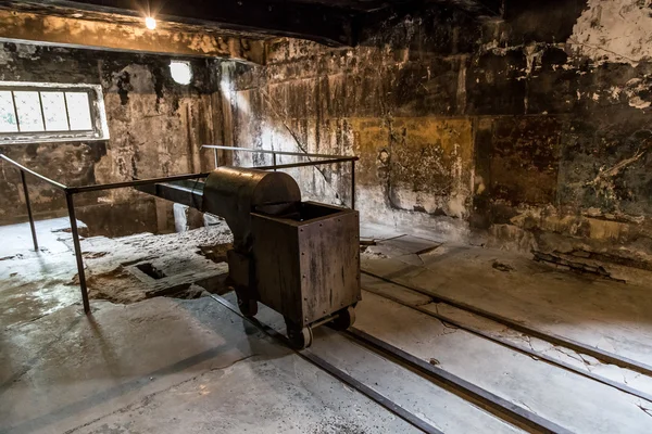 Crematorium in Auschwitz — Stockfoto