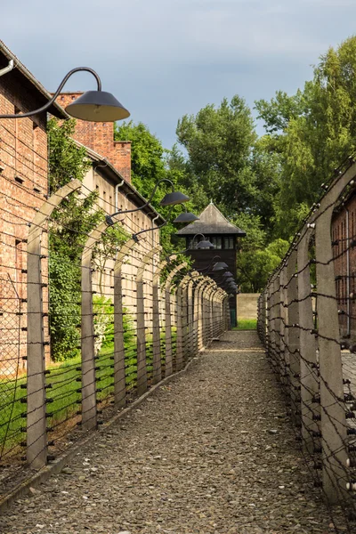 Στρατόπεδο συγκέντρωσης auschwitz — Φωτογραφία Αρχείου