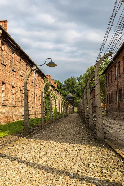 Στρατόπεδο συγκέντρωσης auschwitz — Φωτογραφία Αρχείου