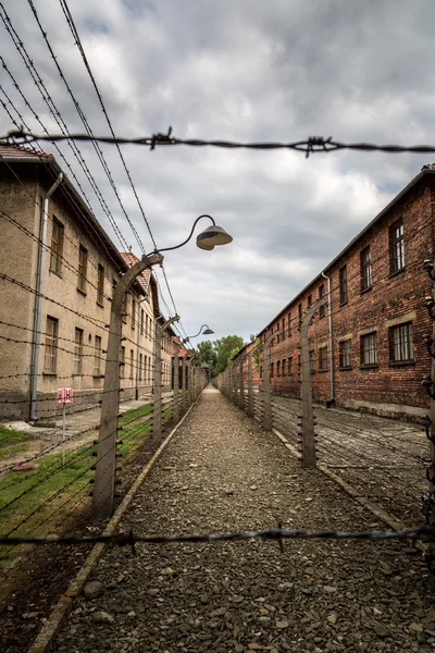 Концентрація табір Освенцім — стокове фото