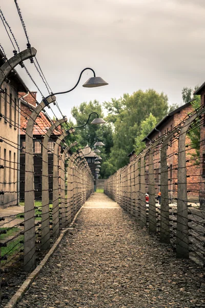 Στρατόπεδο συγκέντρωσης auschwitz — Φωτογραφία Αρχείου