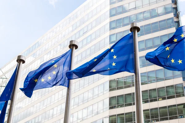 European flags  in Brussels — Stock Photo, Image