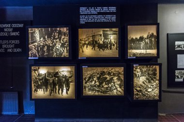 Auschwitz toplama kampı.