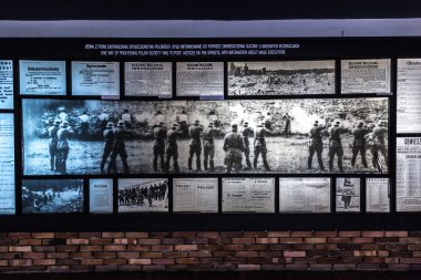 Auschwitz toplama kampı.