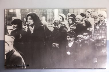 Auschwitz toplama kampı.