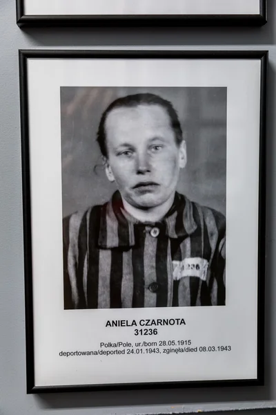 Campo de concentración en Auschwitz . — Foto de Stock