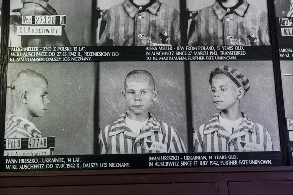 Campo de concentración en Auschwitz . — Foto de Stock