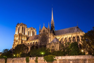 Paris 'teki Notre Dame Katedrali