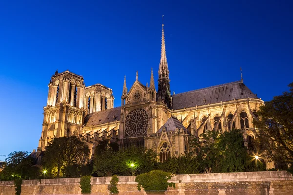 Cathédrale Notre Dame de Paris — Photo