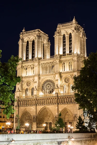 Catedral de Notre Dame em Paris — Fotografia de Stock