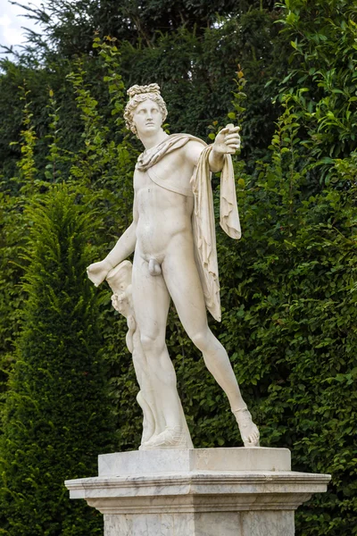 Statue i parken Versailles - Stock-foto