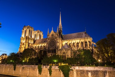 Paris 'teki Notre Dame Katedrali