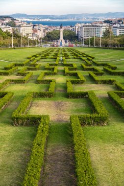 Eduardo VII park   in Lisbon clipart