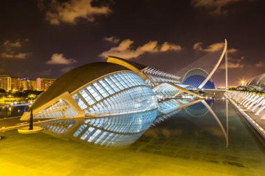 Valencia Sanat ve Bilim Şehri.