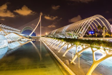 Valencia Sanat ve Bilim Şehri.