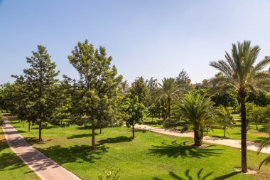 Valencia Turia bahçelerinde