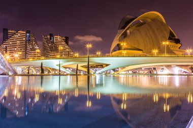kleine balerinasSanat ve bilim, valencia şehir