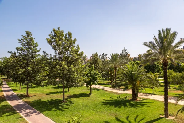 Stock image Turia gardens in Valencia