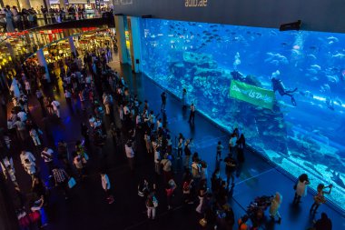 Dubai Alışveriş Merkezi içinde en büyük dünya akvaryum