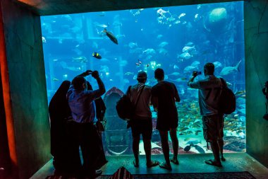 Atlantis hotel Dubai akvaryumda