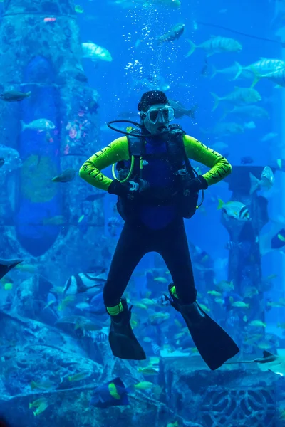 Diver feeding fishes in Dubai aquarium — Stock Photo, Image