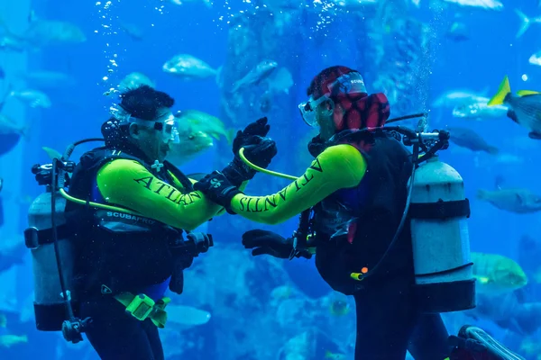 Divers feeding fishes in Dubai aquarium — Stock Photo, Image