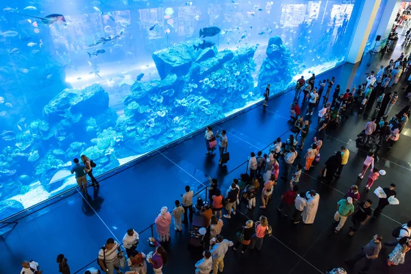 Grootste aquarium ter wereld in Dubai Mall — Stockfoto