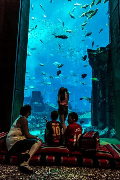 Aquarium at Atlantis hotel in Dubai — Stock Photo, Image