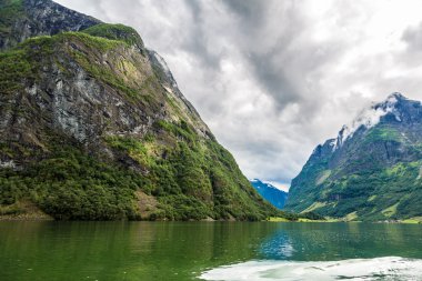 Sognefjord görünümü, Norveç