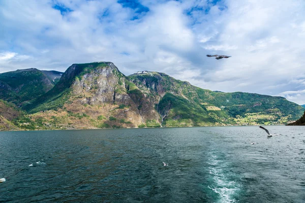 Weergave van de Sognefjord, Noorwegen — Stockfoto